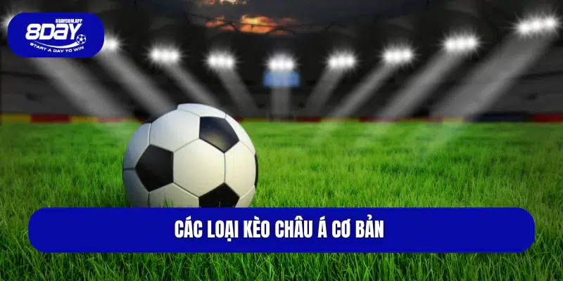 Kèo Châu Á Và Bí Quyết Chơi Kèo Dễ Ăn Từ Cao Thủ 3 Các loại kèo châu á cơ bản