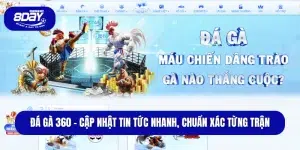 Đá Gà 360 – Cập Nhật Tin Tức Nhanh, Chuẩn Xác Từng Trận
