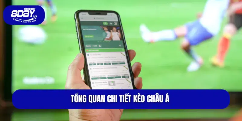 Kèo Châu Á Và Bí Quyết Chơi Kèo Dễ Ăn Từ Cao Thủ 2 tổng quan chi tiết kèo châu á