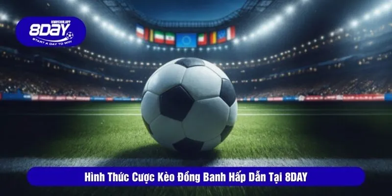 Hình Thức Cược Kèo Đồng Banh 8DAY Hấp Dẫn Ăn Đậm 1 Kèo đồng banh